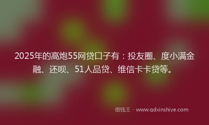 2025年的高炮55网贷口子有：投友圈、度小满金融、还呗、51人品贷、维信卡卡贷等。