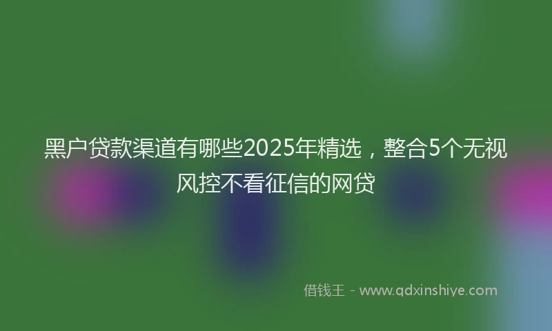 黑户贷款渠道有哪些2025年精选，整合5个无视风控不看征信的网贷