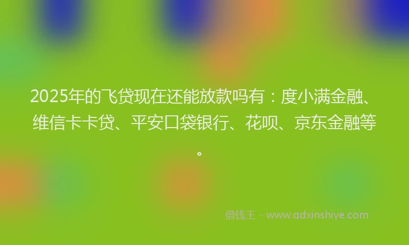 2025年的飞贷现在还能放款吗有：度小满金融、维信卡卡贷、平安口袋银行、花呗、京东金融等。
