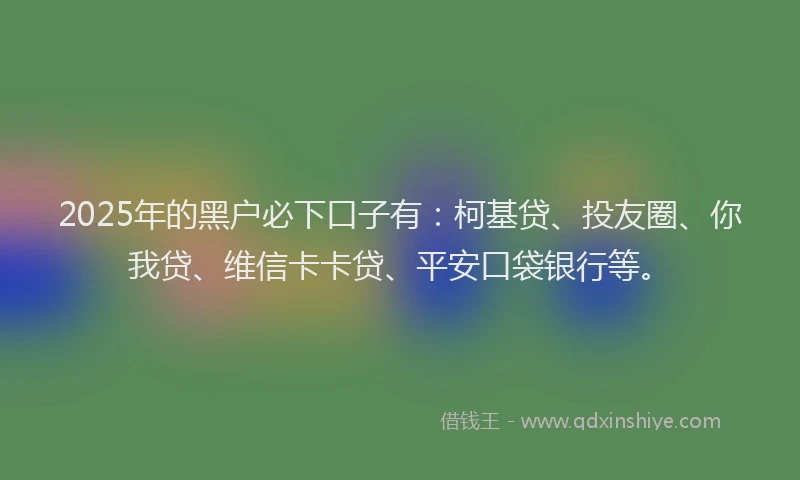 2025年的黑户必下口子有：柯基贷、投友圈、你我贷、维信卡卡贷、平安口袋银行等。