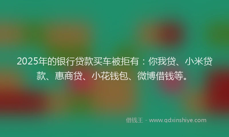 2025年的银行贷款买车被拒有：你我贷、小米贷款、惠商贷、小花钱包、微博借钱等。