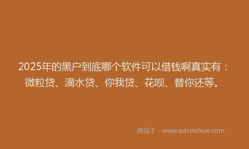 2025年的黑户到底哪个软件可以借钱啊真实有：微粒贷、滴水贷、你我贷、花呗、替你还等。