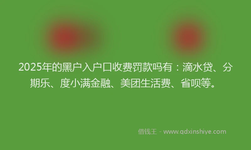 2025年的黑户入户口收费罚款吗有：滴水贷、分期乐、度小满金融、美团生活费、省呗等。