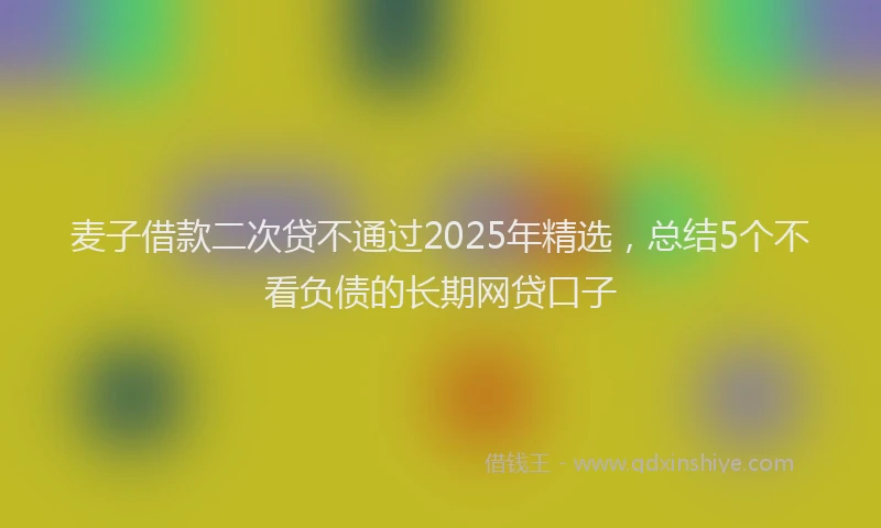 麦子借款二次贷不通过2025年精选，总结5个不看负债的长期网贷口子