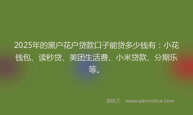 2025年的黑户花户贷款口子能贷多少钱有：小花钱包、读秒贷、美团生活费、小米贷款、分期乐等。