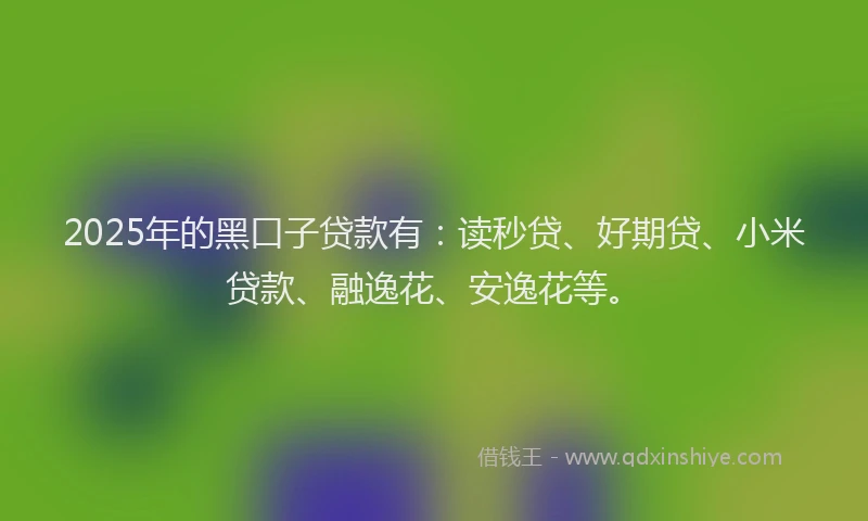 2025年的黑口子贷款有：读秒贷、好期贷、小米贷款、融逸花、安逸花等。