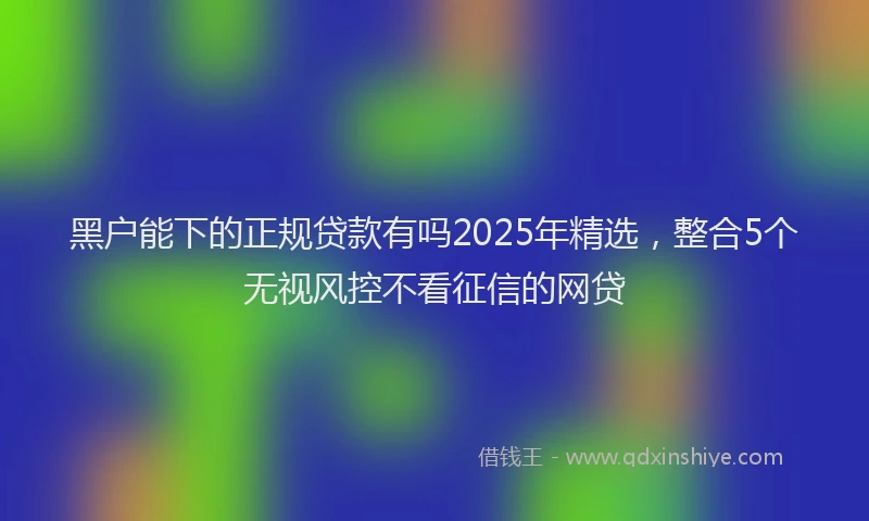 黑户能下的正规贷款有吗2025年精选，整合5个无视风控不看征信的网贷