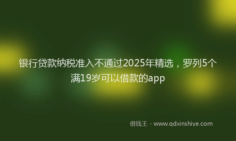 银行贷款纳税准入不通过2025年精选，罗列5个满19岁可以借款的app