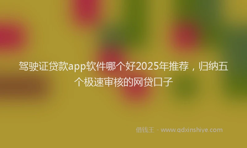 驾驶证贷款app软件哪个好2025年推荐，归纳五个极速审核的网贷口子