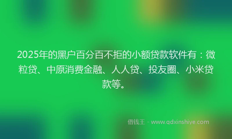 2025年的黑户百分百不拒的小额贷款软件有：微粒贷、中原消费金融、人人贷、投友圈、小米贷款等。