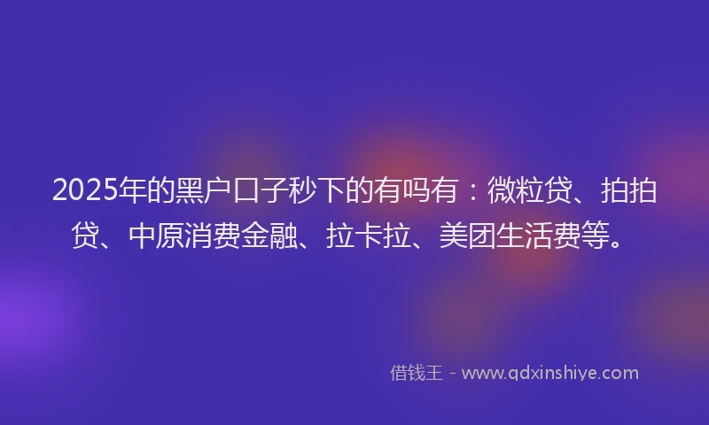 2025年的黑户口子秒下的有吗有：微粒贷、拍拍贷、中原消费金融、拉卡拉、美团生活费等。