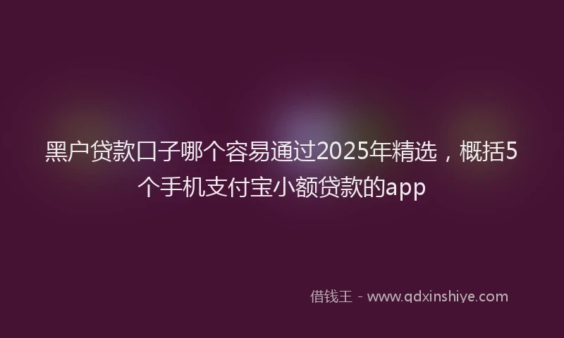 黑户贷款口子哪个容易通过2025年精选，概括5个手机支付宝小额贷款的app