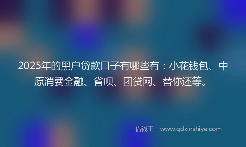 2025年的黑户贷款口子有哪些有：小花钱包、中原消费金融、省呗、团贷网、替你还等。
