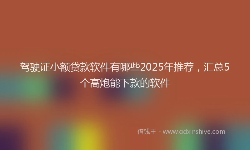 驾驶证小额贷款软件有哪些2025年推荐，汇总5个高炮能下款的软件