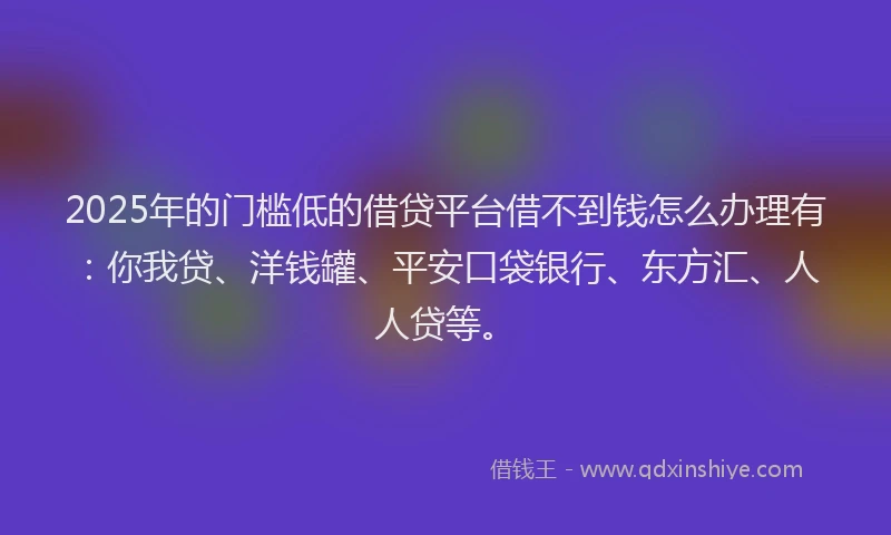 2025年的门槛低的借贷平台借不到钱怎么办理有：你我贷、洋钱罐、平安口袋银行、东方汇、人人贷等。