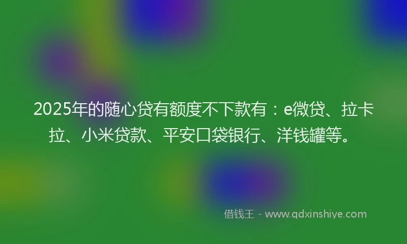 2025年的随心贷有额度不下款有：e微贷、拉卡拉、小米贷款、平安口袋银行、洋钱罐等。