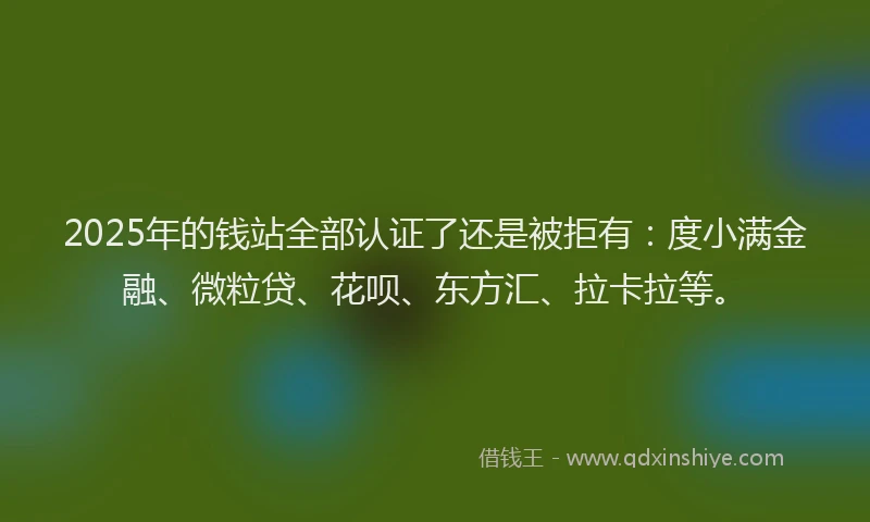 2025年的钱站全部认证了还是被拒有：度小满金融、微粒贷、花呗、东方汇、拉卡拉等。