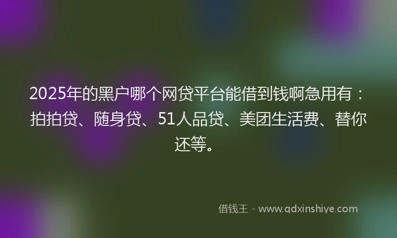 2025年的黑户哪个网贷平台能借到钱啊急用有：拍拍贷、随身贷、51人品贷、美团生活费、替你还等。