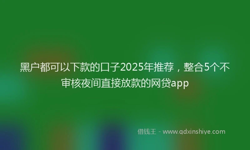 黑户都可以下款的口子2025年推荐，整合5个不审核夜间直接放款的网贷app