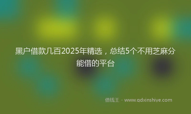 黑户借款几百2025年精选，总结5个不用芝麻分能借的平台