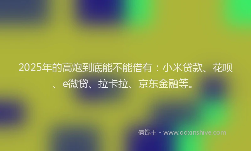 2025年的高炮到底能不能借有：小米贷款、花呗、e微贷、拉卡拉、京东金融等。