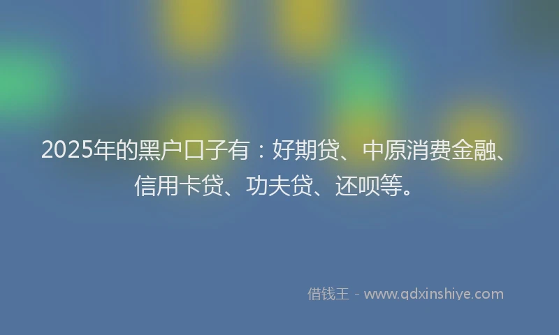 2025年的黑户口子有：好期贷、中原消费金融、信用卡贷、功夫贷、还呗等。