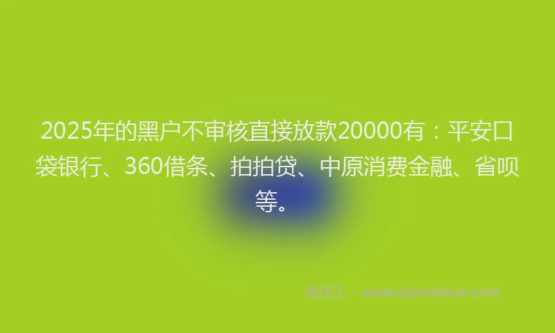 2025年的黑户不审核直接放款20000有：平安口袋银行、360借条、拍拍贷、中原消费金融、省呗等。