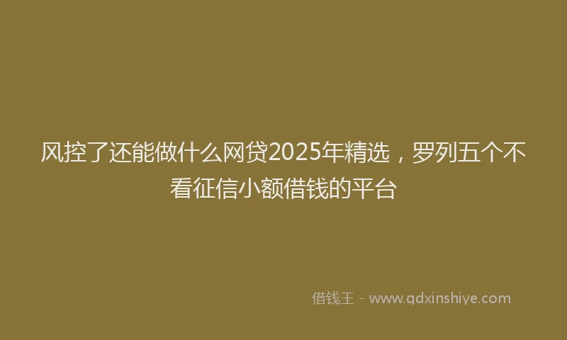 风控了还能做什么网贷2025年精选，罗列五个不看征信小额借钱的平台