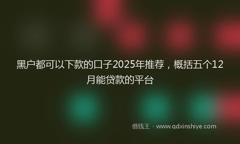 黑户都可以下款的口子2025年推荐，概括五个12月能贷款的平台