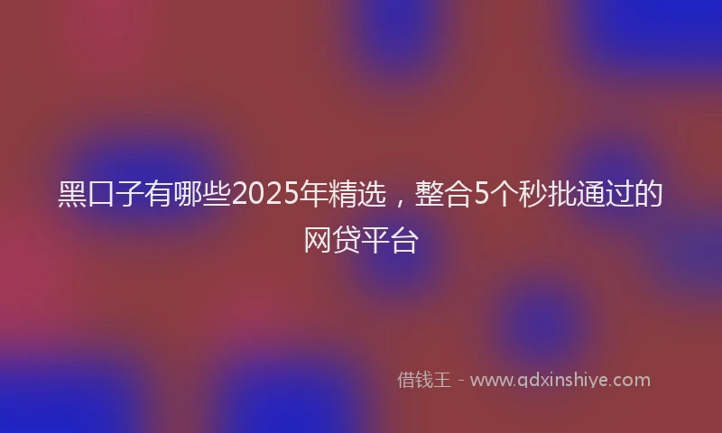 黑口子有哪些2025年精选，整合5个秒批通过的网贷平台