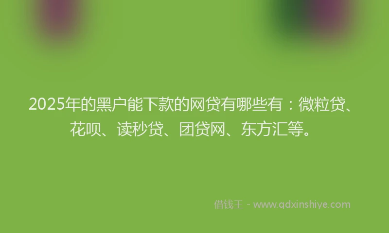 2025年的黑户能下款的网贷有哪些有：微粒贷、花呗、读秒贷、团贷网、东方汇等。