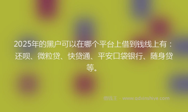 2025年的黑户可以在哪个平台上借到钱线上有：还呗、微粒贷、快贷通、平安口袋银行、随身贷等。