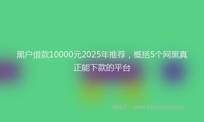 黑户借款10000元2025年推荐，概括5个网黑真正能下款的平台