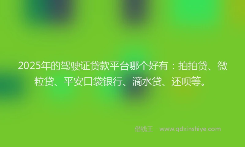 2025年的驾驶证贷款平台哪个好有：拍拍贷、微粒贷、平安口袋银行、滴水贷、还呗等。
