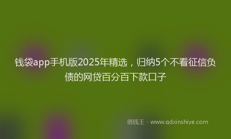 钱袋app手机版2025年精选，归纳5个不看征信负债的网贷百分百下款口子