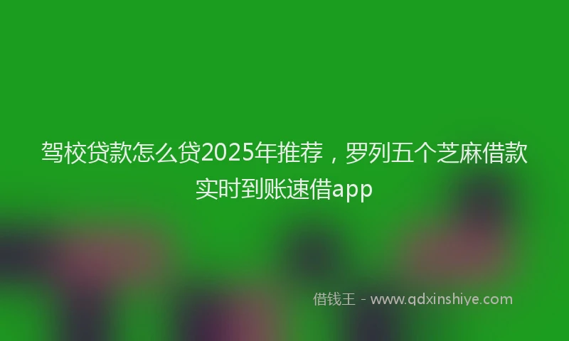 驾校贷款怎么贷2025年推荐，罗列五个芝麻借款实时到账速借app