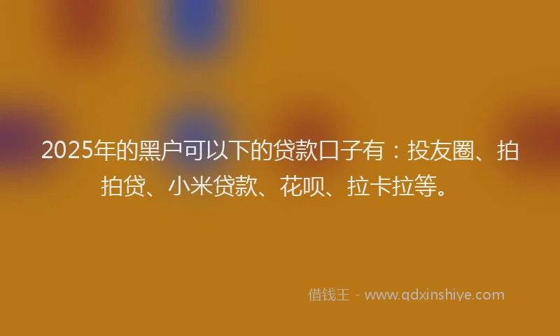 2025年的黑户可以下的贷款口子有：投友圈、拍拍贷、小米贷款、花呗、拉卡拉等。