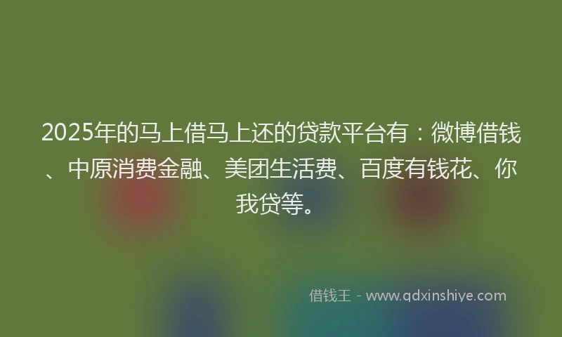 2025年的马上借马上还的贷款平台有：微博借钱、中原消费金融、美团生活费、百度有钱花、你我贷等。