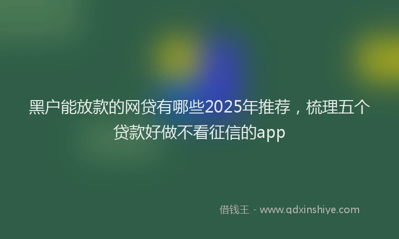 黑户能放款的网贷有哪些2025年推荐，梳理五个贷款好做不看征信的app