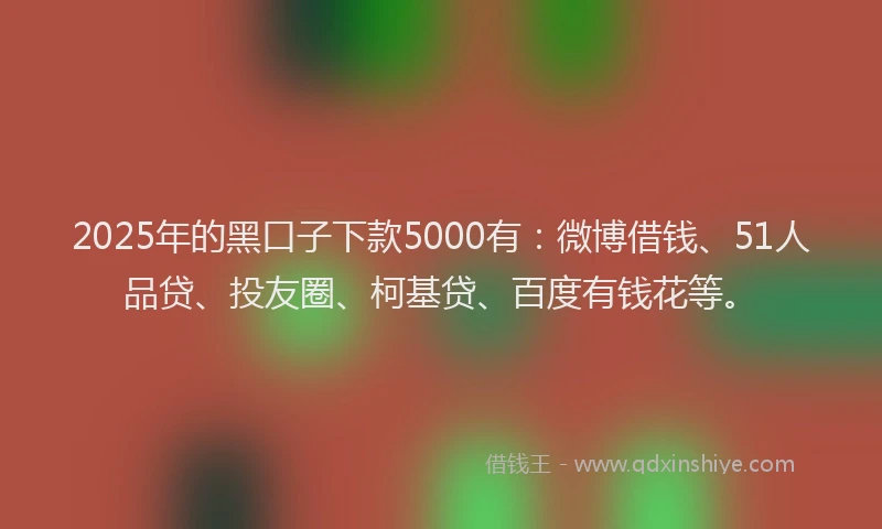 2025年的黑口子下款5000有：微博借钱、51人品贷、投友圈、柯基贷、百度有钱花等。