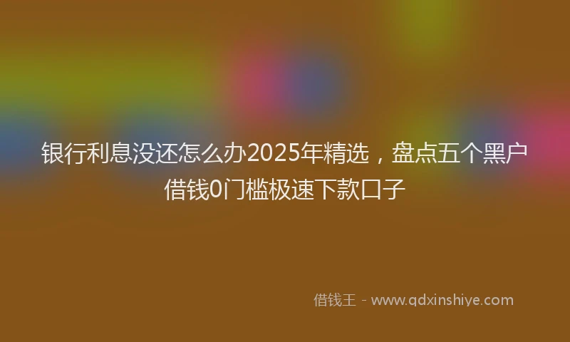 银行利息没还怎么办2025年精选，盘点五个黑户借钱0门槛极速下款口子