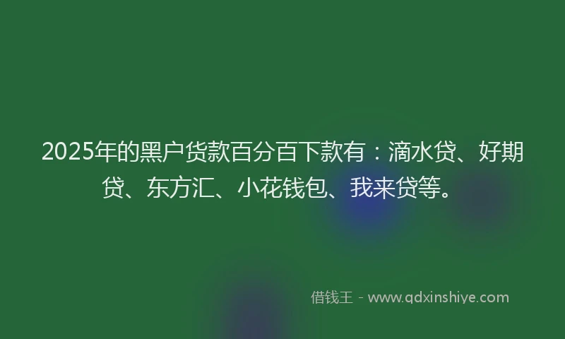 2025年的黑户货款百分百下款有：滴水贷、好期贷、东方汇、小花钱包、我来贷等。