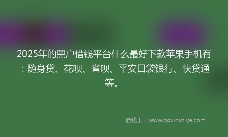 2025年的黑户借钱平台什么最好下款苹果手机有：随身贷、花呗、省呗、平安口袋银行、快贷通等。