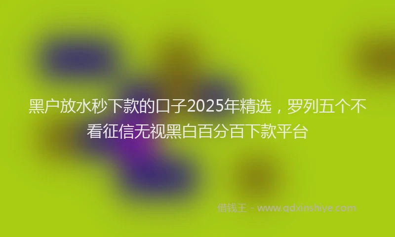黑户放水秒下款的口子2025年精选，罗列五个不看征信无视黑白百分百下款平台