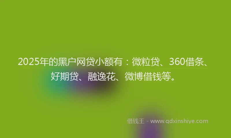 2025年的黑户网贷小额有：微粒贷、360借条、好期贷、融逸花、微博借钱等。