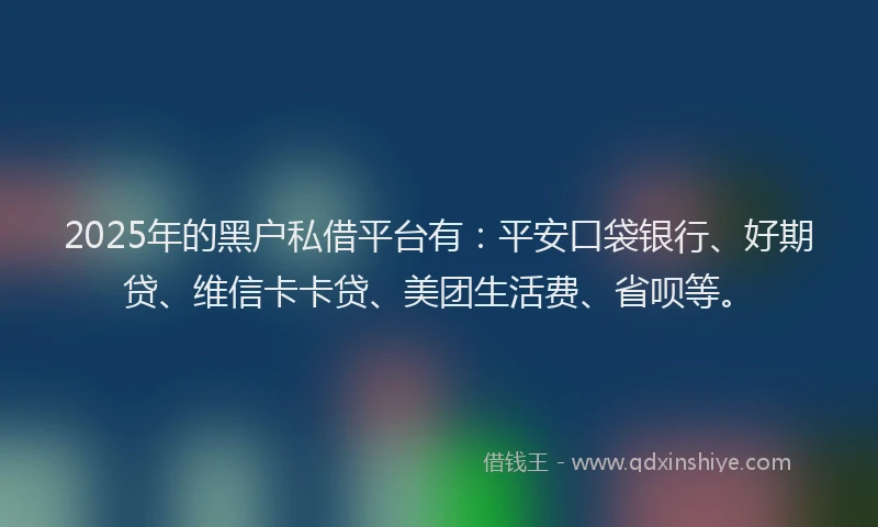 2025年的黑户私借平台有：平安口袋银行、好期贷、维信卡卡贷、美团生活费、省呗等。