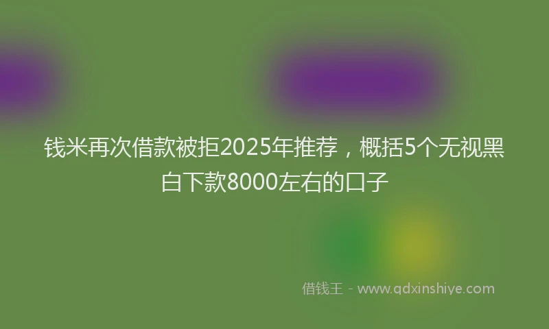 钱米再次借款被拒2025年推荐，概括5个无视黑白下款8000左右的口子