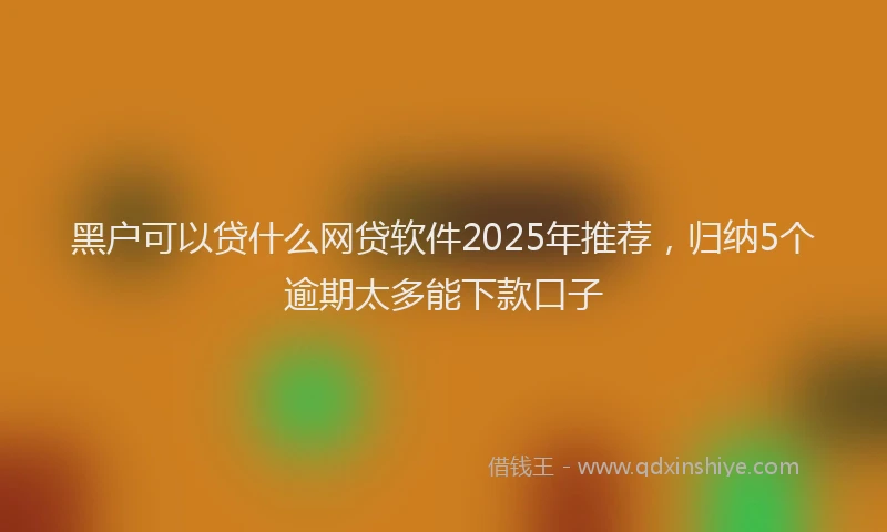 黑户可以贷什么网贷软件2025年推荐，归纳5个逾期太多能下款口子