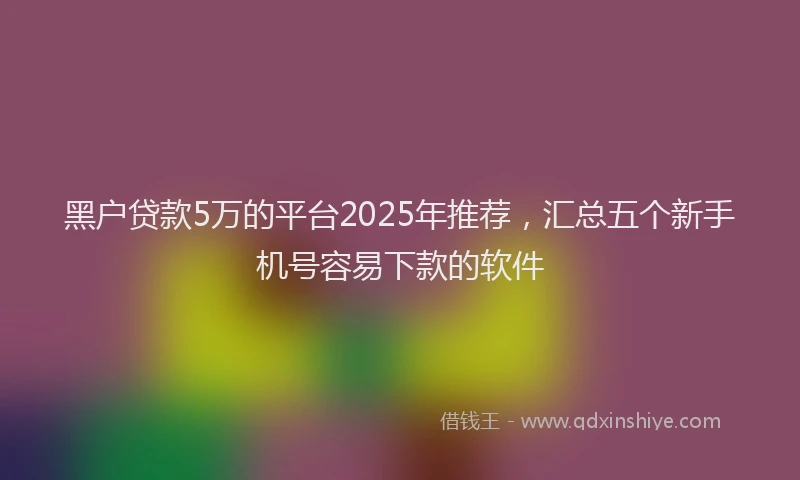 黑户贷款5万的平台2025年推荐，汇总五个新手机号容易下款的软件