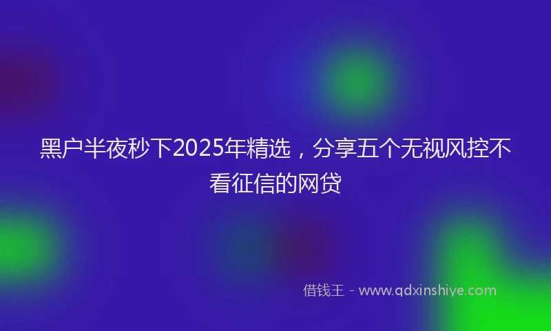 黑户半夜秒下2025年精选，分享五个无视风控不看征信的网贷